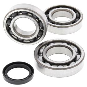 Kit cuscinetti albero motore ALL BALLS 24-1085 con anello tenuta per Polaris
