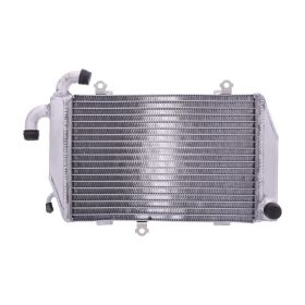 JMP TRS-R-718 rechter Wasser-Radiator für Honda GL 1800