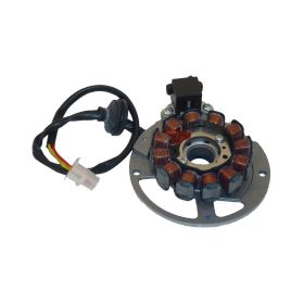 Statore 12 bobine DUCATI ENERGIA per Malaguti F12/F15/F10/CIAK