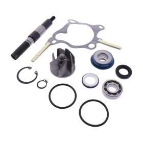 JMP Wasserpumpen-Überholsatz 014-0043 für Honda FES 250 FORESIGHT