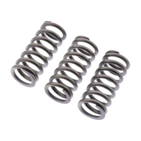EBC CSK243 Clutch Spring Kit for Triumph