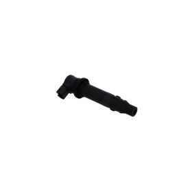 Integrated ignition coil Sgr 12V
