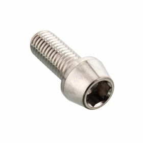 PRO-BOLT Stainless Steel Cone Screw M10x1.5 25mm