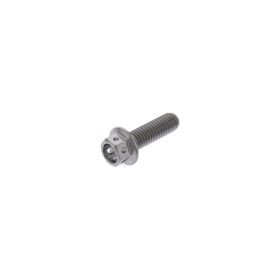 PRO-BOLT M6x1.00 20mm Crown Fixing Screw