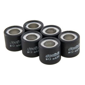 Rouleaux de variateur POLINI 19X17 9,0 g