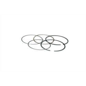 MALOSSI 4T Kolbenringe Kit D.77