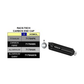 ARROW Race Tech Slip-On Auspuff mit dunkler Aluminium-Endkappe Sammler für Kawasaki er-6n