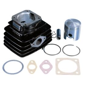 POLINI Thermo-Gruppe Hub 42 75cc Gusseisen-Zylinder
