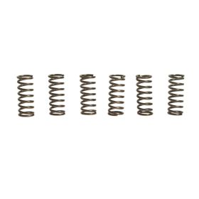 Kit 6 molle frizione EBC CSK001