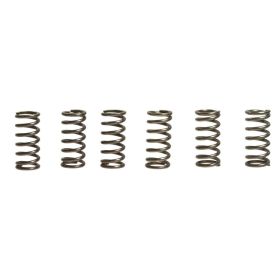 Kit 6 molle frizione EBC CSK002