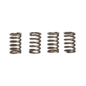Kit 4 molle frizione EBC rinforzate 10% CSK003 per Honda