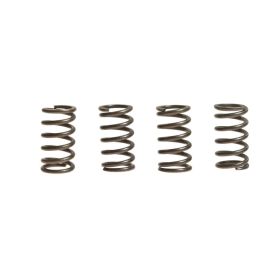 EBC 10% verstärktes Kupplungsfeder-Kit CSK004