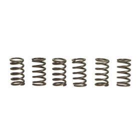 Kit 6 molle frizione EBC CSK007