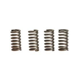 Kit de ressorts d'embrayage renforcé EBC 10% CSK012