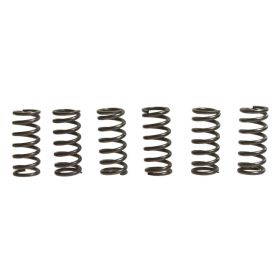Kit 6 molle frizione EBC CSK015