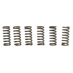 Kit 6 molle frizione EBC CSK028 per Honda