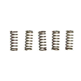 EBC verstärktes Kupplungsfeder-Kit 10% CSK042
