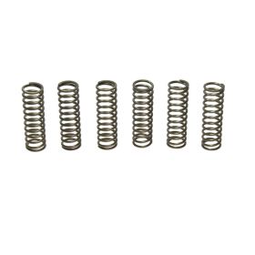 Kit 6 molle frizione EBC CSK061 per Suzuki GS