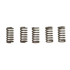 Kit 5 molle frizione EBC CSK065