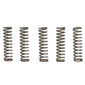 Kit 5 molle frizione EBC rinforzate 10% CSK067 per Kawasaki