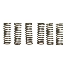 Kit de ressorts d'embrayage EBC CSK069 pour Suzuki SV