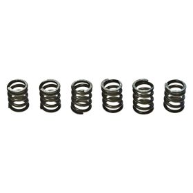 Kit 6 molle frizione EBC CSK071 per Suzuki TL 1000