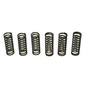 Kit 6 molle frizione EBC CSK075 per Suzuki