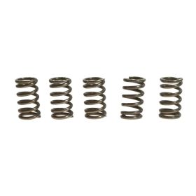 Kit de ressorts d'embrayage renforcé EBC 10% CSK078 pour Suzuki TL 1000 S
