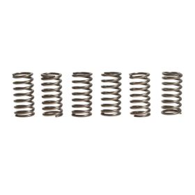 Kit 6 molle frizione EBC CSK084 per Ktm