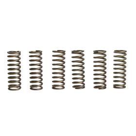 EBC CSK090 Kupplungsfeder-Kit 6 für Honda