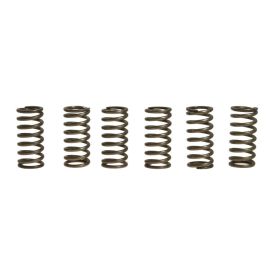 EBC CSK091 6 Kupplungsfedern Kit