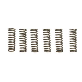 6 MOLLE FRIZIONE EBC RINF. +10 745.20.97