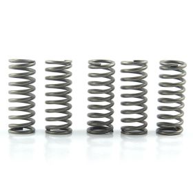 EBC verstärktes Kupplungsfeder-Kit 5 Teile 10% CSK097
