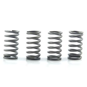 Kit de ressorts d'embrayage renforcé EBC 10% CSK098