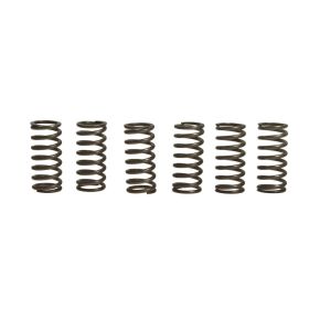 EBC Kupplungsfeder Kit 6 CSK104