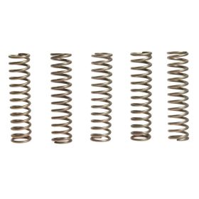 Kit 5 molle frizione EBC rinforzate 10% CSK110 per Kawasaki