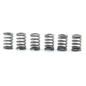 Kit 6 molle frizione EBC CSK114 per Suzuki SV