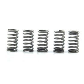 Kit 5 molle frizione EBC rinforzate 10% CSK118 per Triumph ROCKET 2300