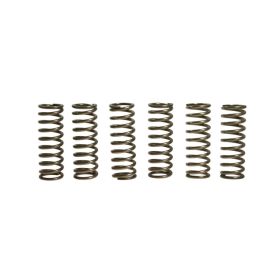 Kit 6 molle frizione EBC CSK119
