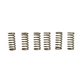 Kit 6 molle frizione EBC CSK120
