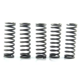 Kit 5 molle frizione EBC rinforzate 10% CSK124