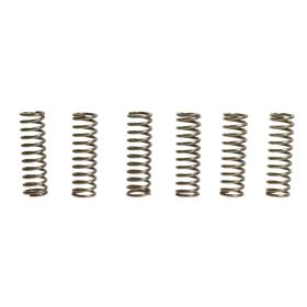 Kit 6 molle frizione EBC CSK126