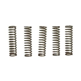 EBC verstärktes Kupplungsfeder-Kit 5 Teile 10% CSK128