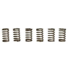 EBC CSK129 Clutch Spring Kit 6 for Ktm