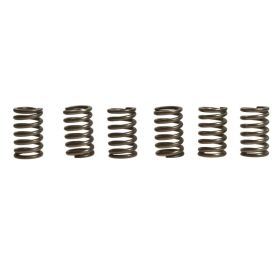 EBC CSK131 Kupplungsfederkit 6