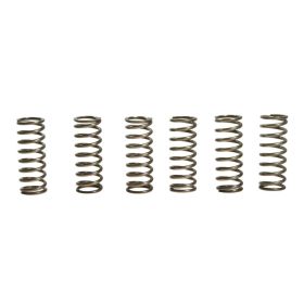 EBC CSK133 Kupplungsfedersatz 6