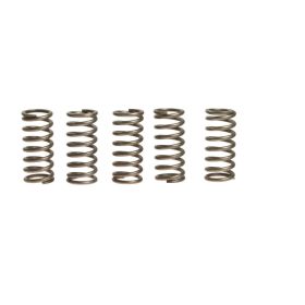 Kit 6 molle frizione EBC rinforzate 10% CSK135