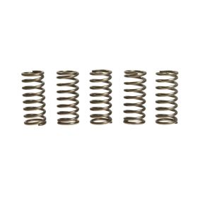 Kit 5 molle frizione EBC CSK138 per Honda XL 1000