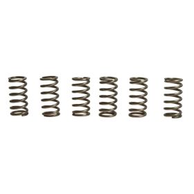 Kit 6 molle frizione EBC CSK139 per Suzuki GSX 1300