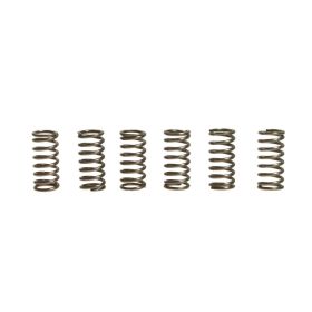 Kit 6 molle frizione EBC CSK143
